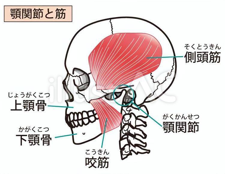 自律神経が整う