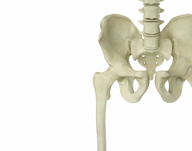 骨盤が歪む原因とは