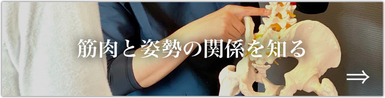 筋肉と姿勢の関係を知る