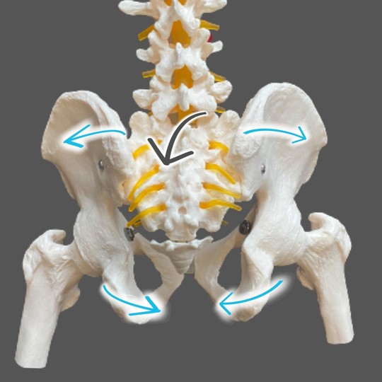 カウンターニューテーション