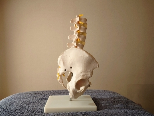 反り腰についての記事