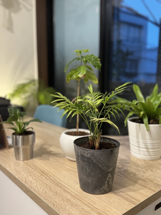 整体院CUCULE院内雰囲気