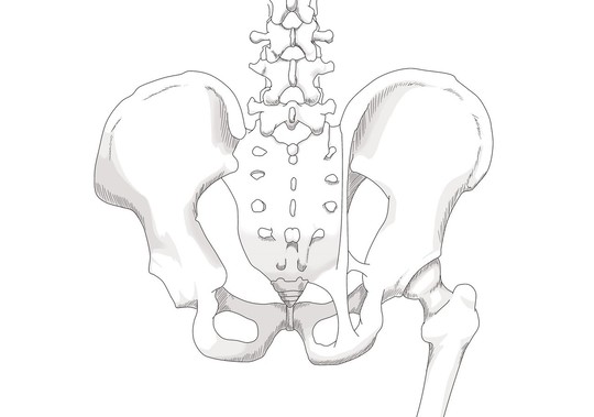 骨盤の歪みについて - 池上駅徒歩3分｜大田区池上で肩こり・腰痛・産後
