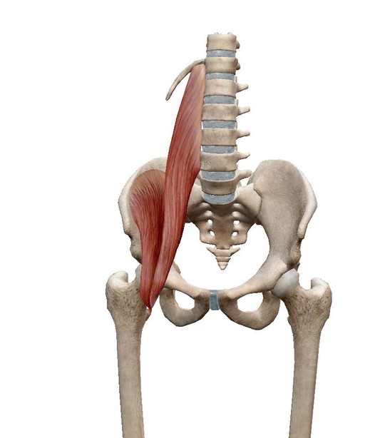 イスから立ち上がるときの腰痛の原因の解説