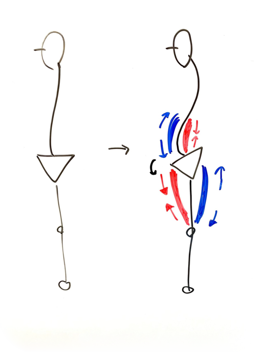 反り腰の原因とは？