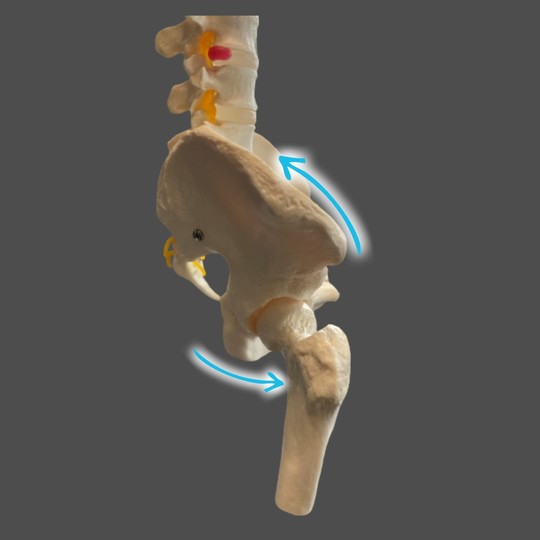 受け腰についての記事